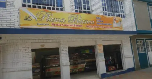 LA PLUMA BLANCA TUNAL ORIENTAL LA PLUMA BLANCA TUNAL ORIENTAL
